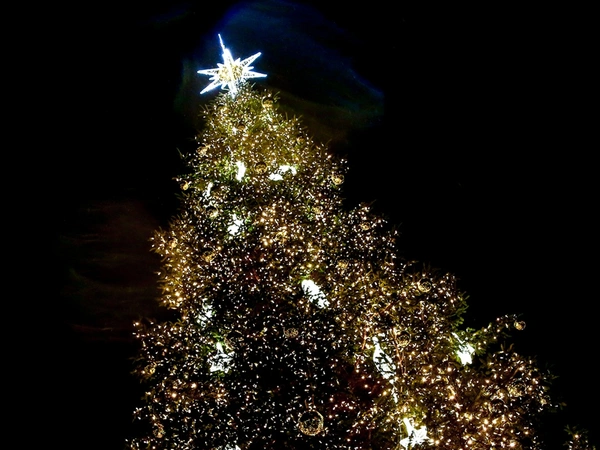 Υπάρχει τελικά η «κατάθλιψη των Χριστουγέννων»; – Κλινικός ψυχολόγος εξηγεί