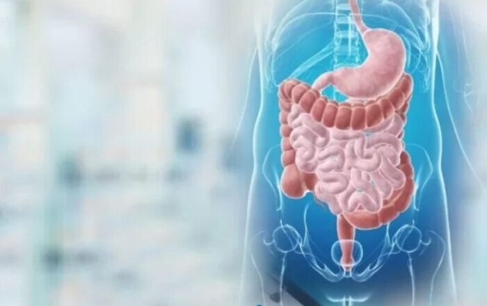 Άξονας εντέρου – εγκεφάλου: Δρόμοι επικοινωνίας και νέες θεραπευτικές προοπτικές