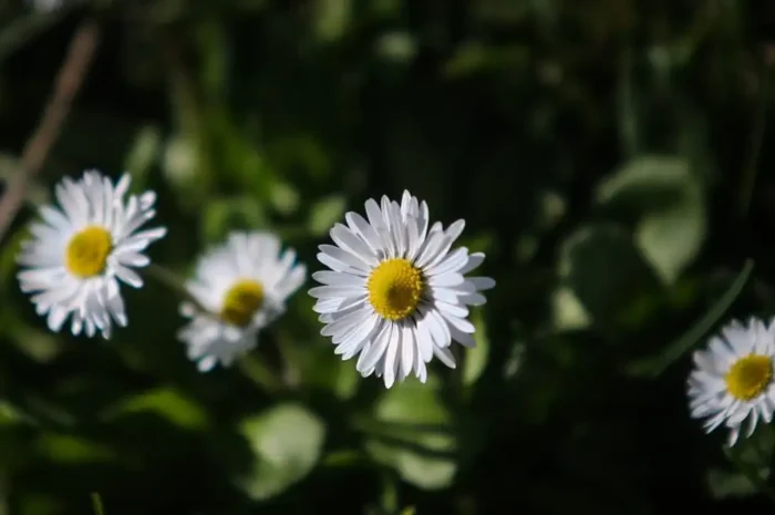 Καιρός σήμερα: Στους 20 βαθμούς θα σκαρφαλώσει η θερμοκρασία