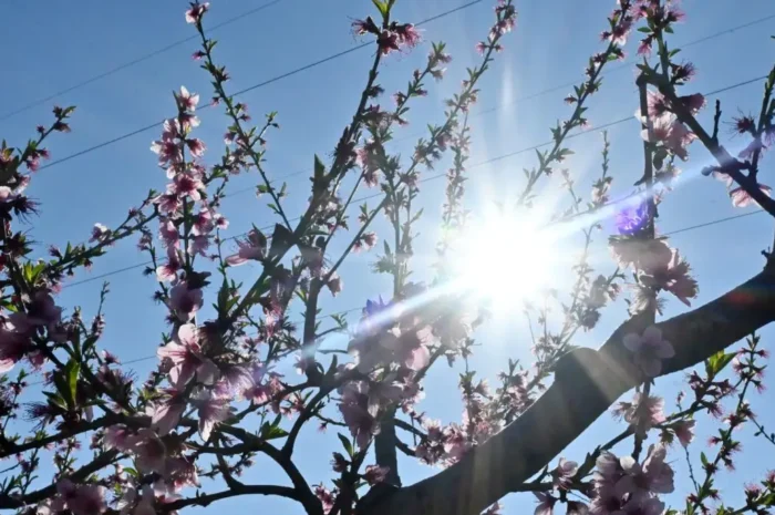 Καιρός σήμερα: Ηλιοφάνεια με λίγη συννεφιά – Βροχές σε περιοχές της Κρήτης