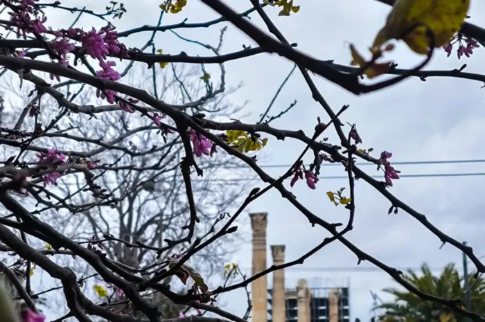 Καιρός σήμερα: Άνοδος της θερμοκρασίας και συννεφιά σε Αττική και Θεσσαλονίκη – Βροχές στα δυτικά