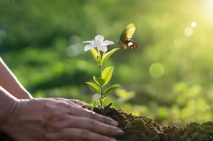 Ημέρα της Γης 2026: 5 πράγματα που ίσως δεν γνωρίζετε για την κλιματική αλλαγή