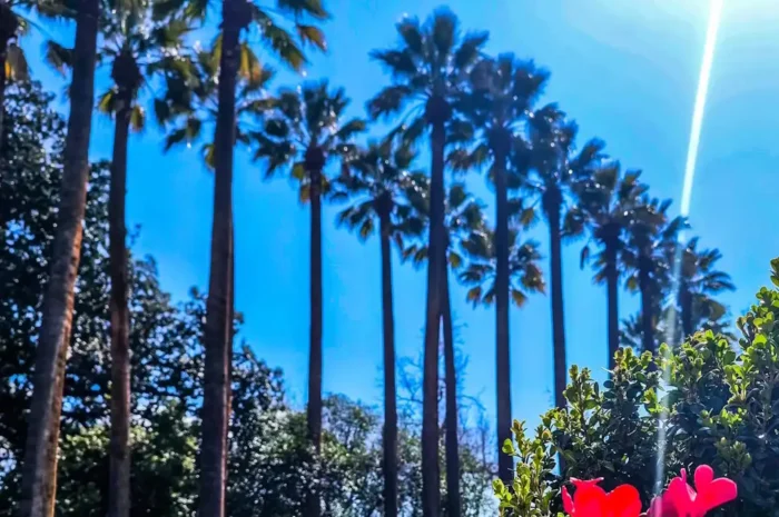 Καιρός σήμερα: Ανοιξιάτικο σκηνικό και υψηλές θερμοκρασίες