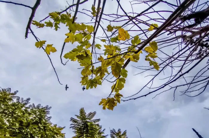 Καιρός σήμερα: Ηλιοφάνεια με λίγη συννεφιά στις περισσότερες περιοχές – Βροχές σε Μακεδονία και Θράκη