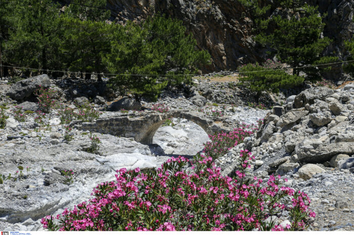 Η ΕΤΑΝΑΠ – Σαμαριά αλλάζει χέρια, o κύβος ερρίφθη στη γενική συνέλευση στα Χανιά