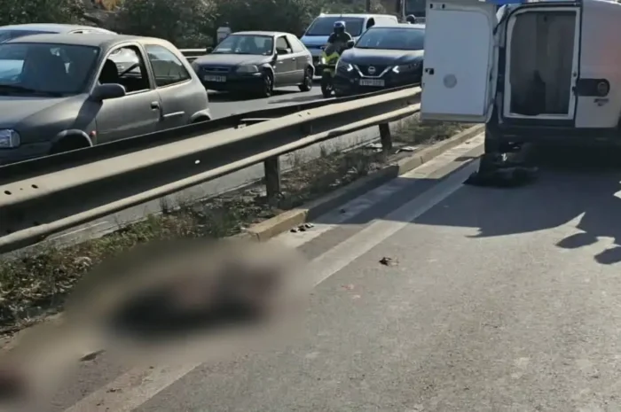 Χαϊδάρι: Αγριογούρουνο έκανε βόλτες δίπλα στην Εθνική Αθηνών – Κορίνθου και προκάλεσε τροχαίο