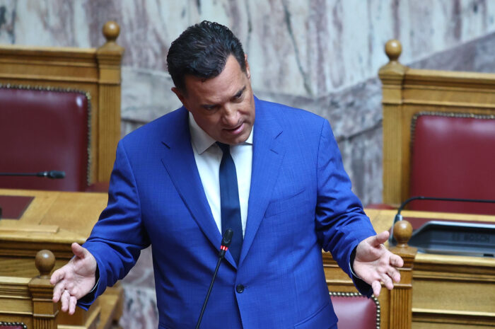 Άδωνις Γεωργιάδης: Αν ο Σαμαράς βάλει στο ψηφοδέλτιό του τον Σαλμά, το μόνο που μένει είναι να βάλει και την Τουλουπάκη στο Επικρατείας