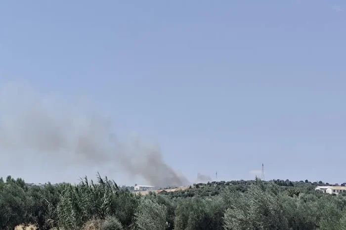 Φωτιά στη Χαλκίδα: Καίει σε αγροτική έκταση κοντά στο Καλοχώρι, σηκώθηκαν 5 εναέρια
